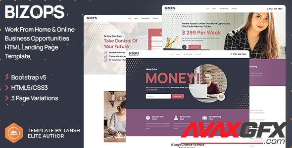 ThemeForest - Bizops v1.0 - Online Business Opportunities HTML Landing Page Template - 32036277
