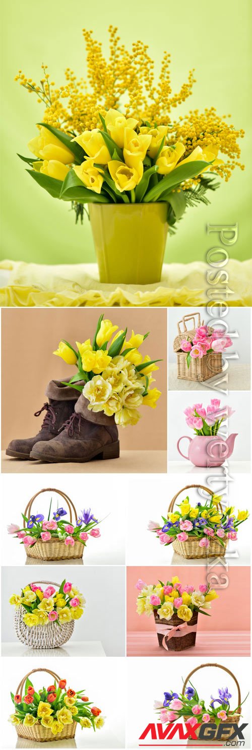 Tulips and mimosas in baskets stock photo