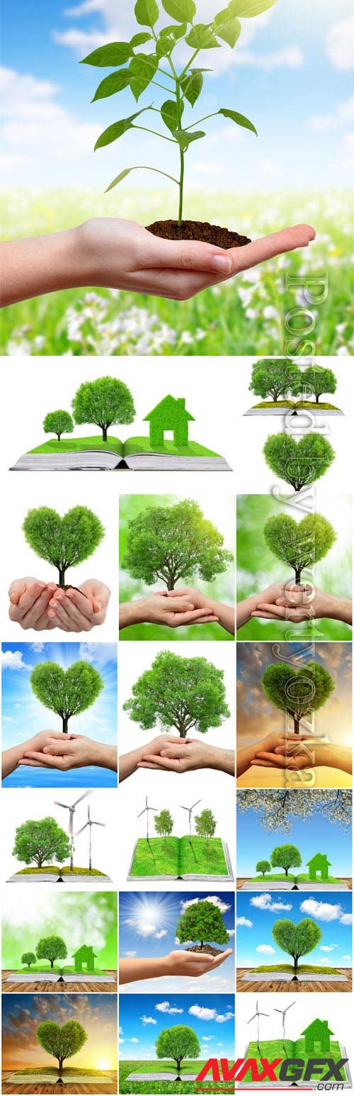 Green trees in hands, concept of nature and man stock photo