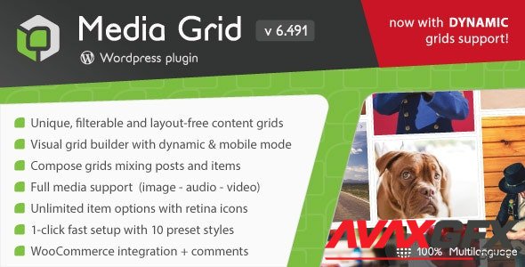 CodeCanyon - Media Grid v6.5.3 - Wordpress Responsive Portfolio - 2218545