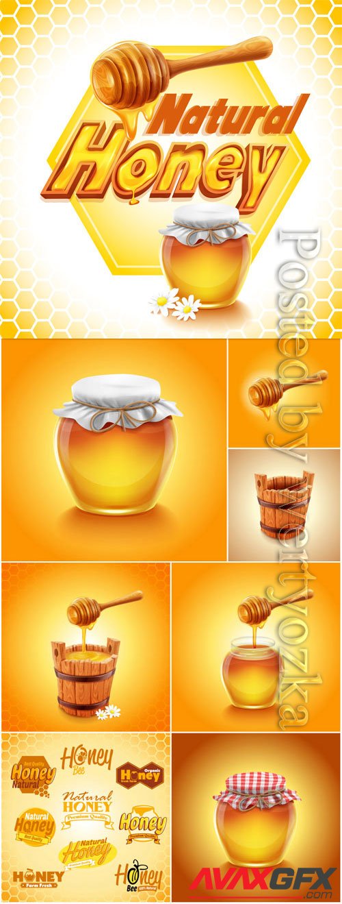 Honey, logos for design in vector