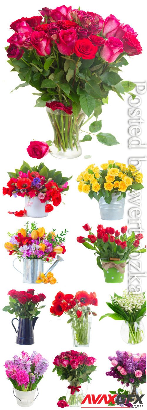 Roses, tulips, poppies, and hyacinths stock photo