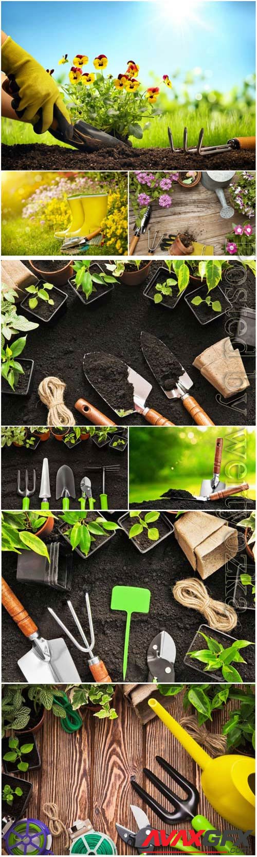 Gardening, tools to care for flowers and trees stock photo