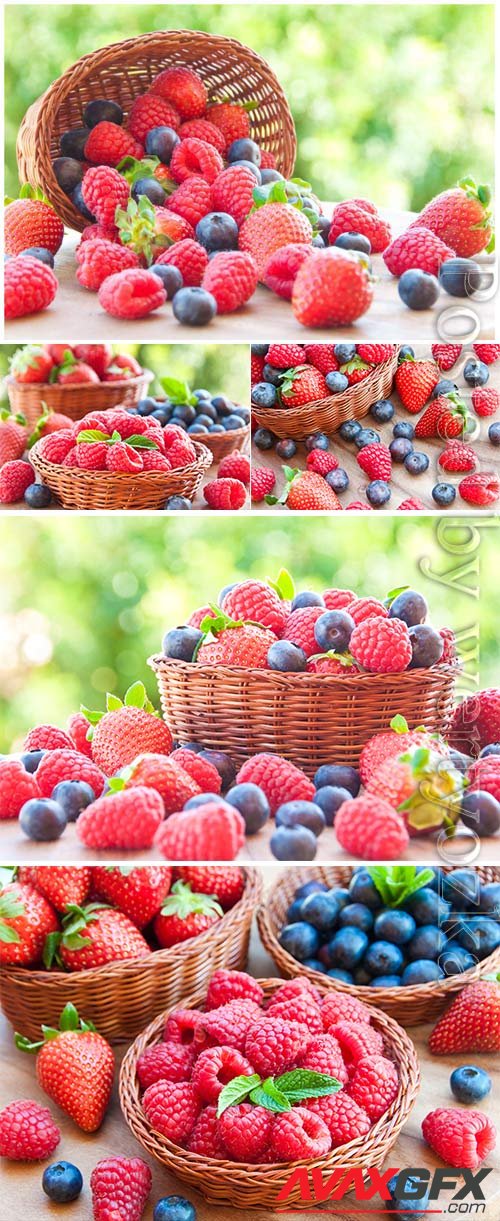 Basket with raspberries and blueberries stock photo