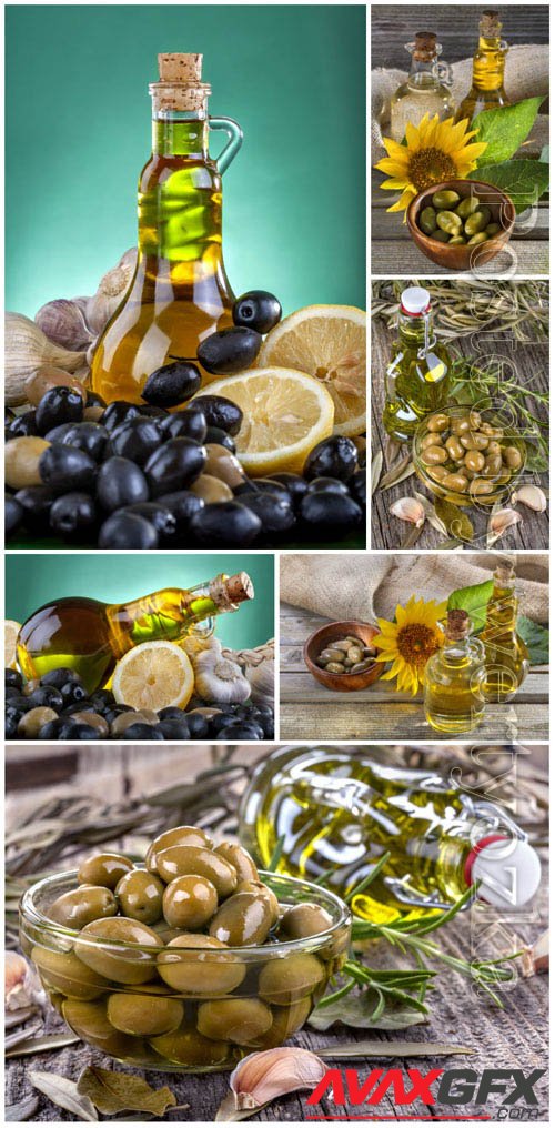 Olives stock photo