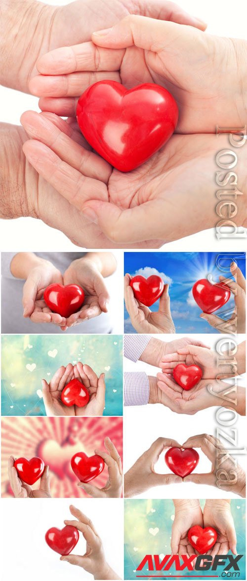 Red heart in hands stock photo