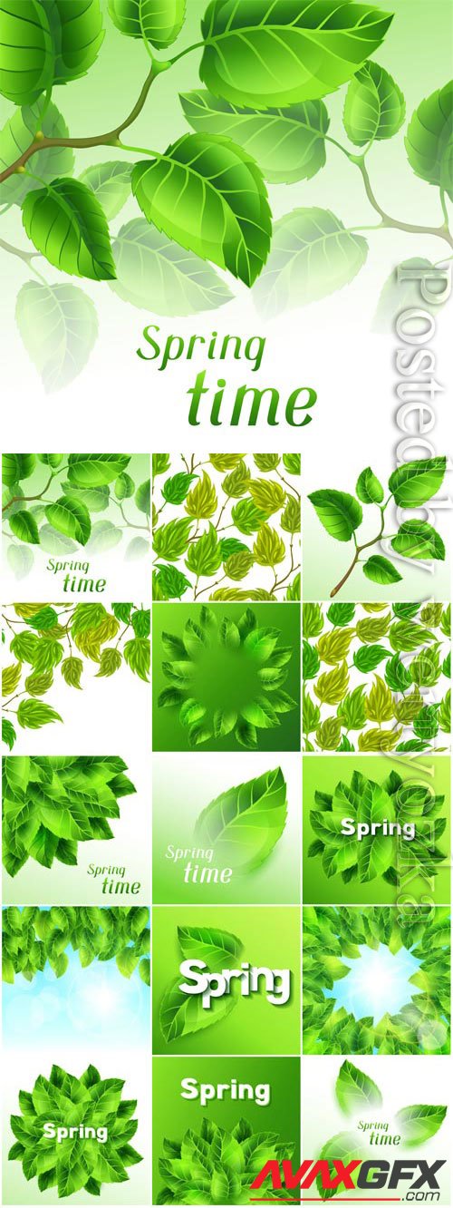 Green leaves on white background in vector