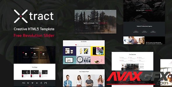 ThemeForest - Xtract v1.0 - Creative One Page Template - 25123351