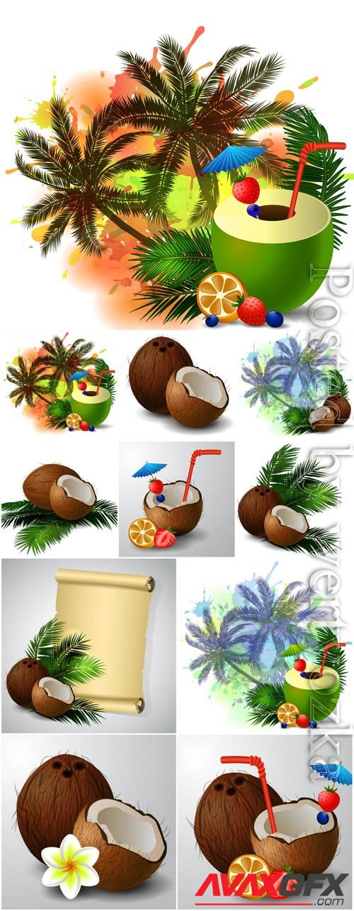 Summer illustration, coconut and palm trees in vector