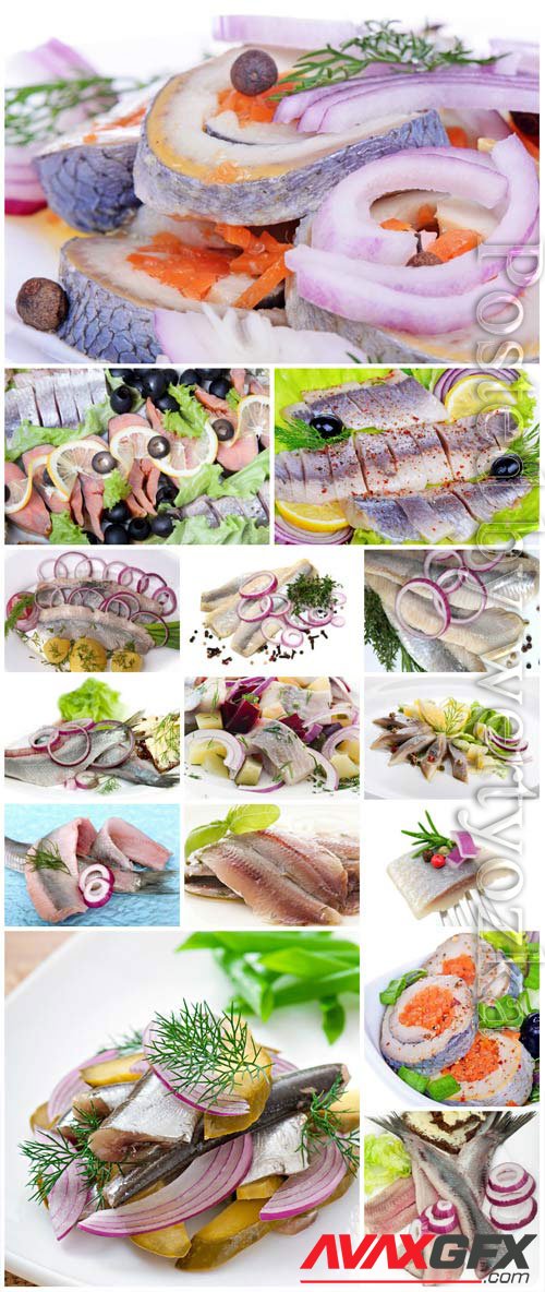 Herring with onions and olives stock photo