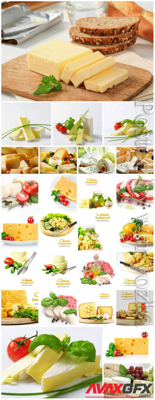 Cheese and vegetables stock photo