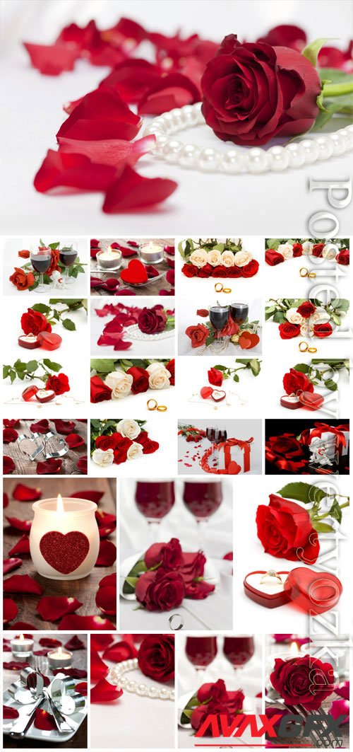 Red roses and engagement ring stock photo