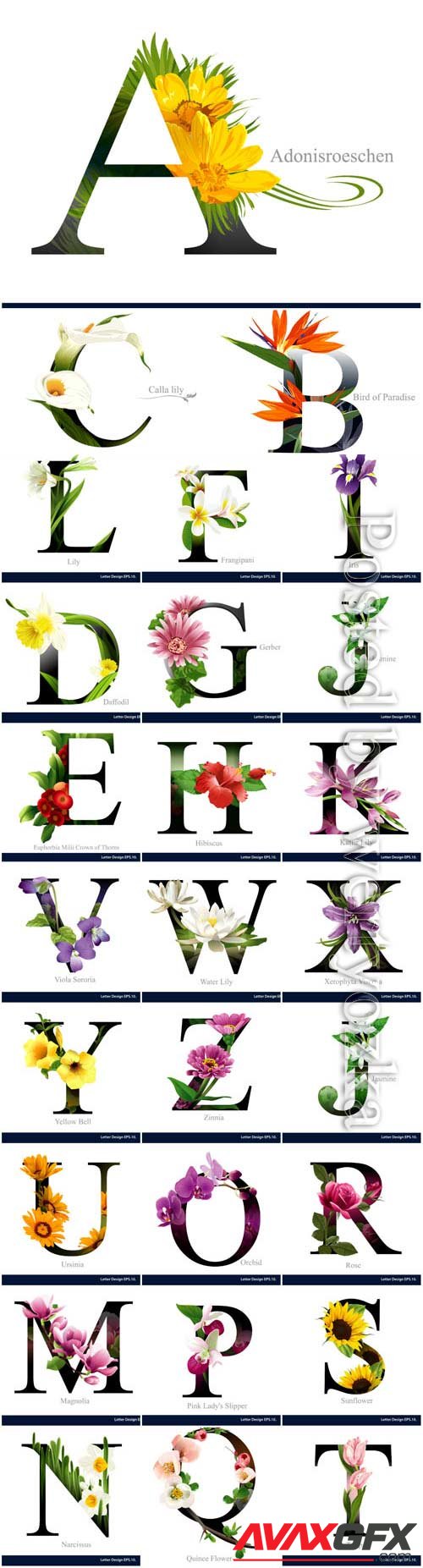 Alphabet with various flowers in vector