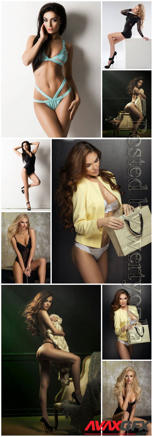 Luxury women in lingerie posing stock photo vol 15