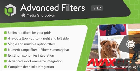 CodeCanyon - Media Grid - Advanced Filters add-on v1.3.0.1 - 21829031