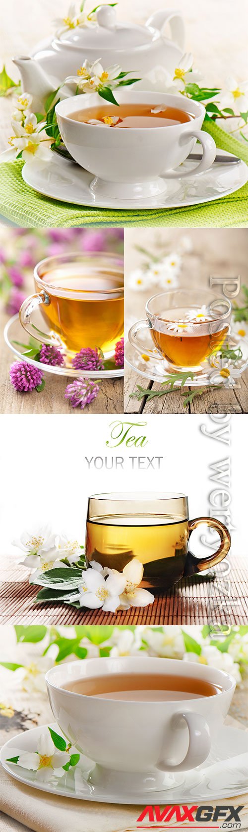 Fruit berry tea stock photo