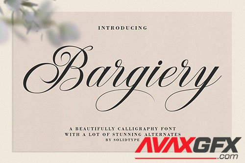 Bargiery Script