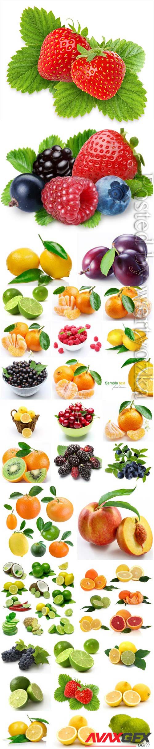 Realistic fruits and berries stock photo