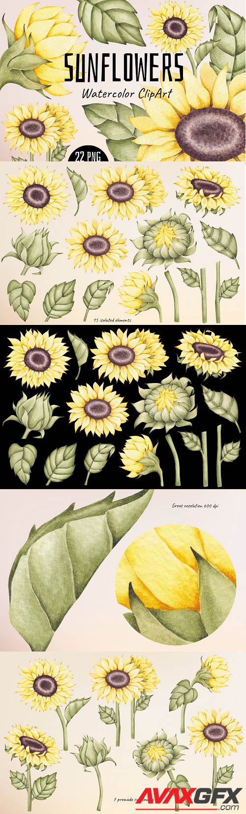 Watercolor ClipArt Sunflowers - 1436254