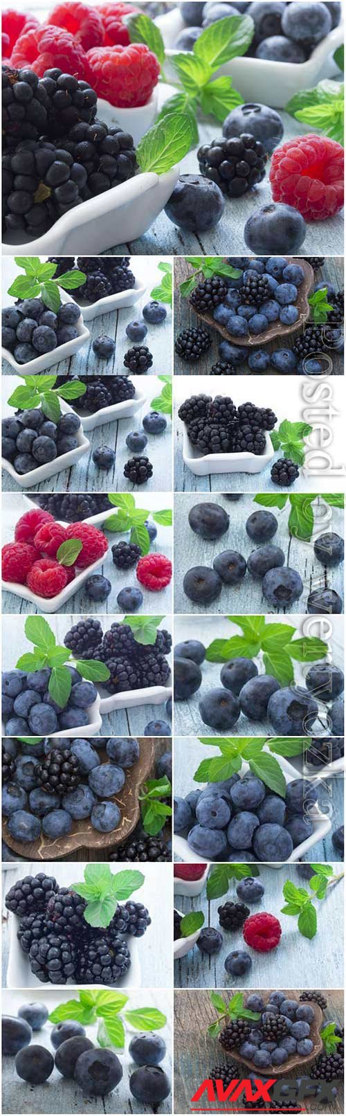 Blueberries raspberries and blackberries stock photo