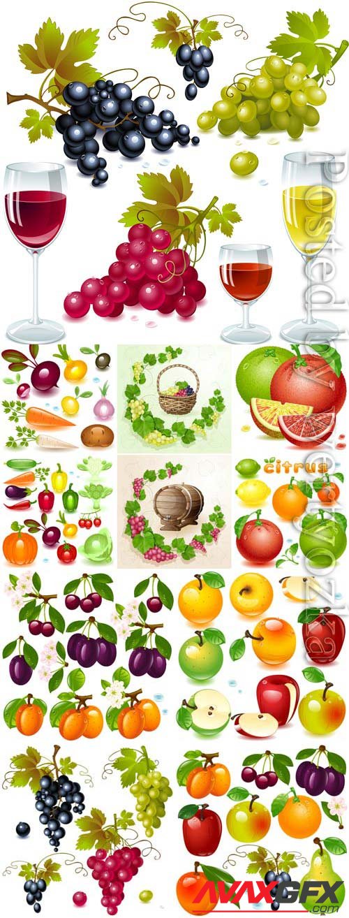 Fruit berries and grape wine in vector