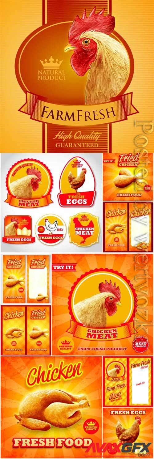 Chicken and meat promotional posters in vector