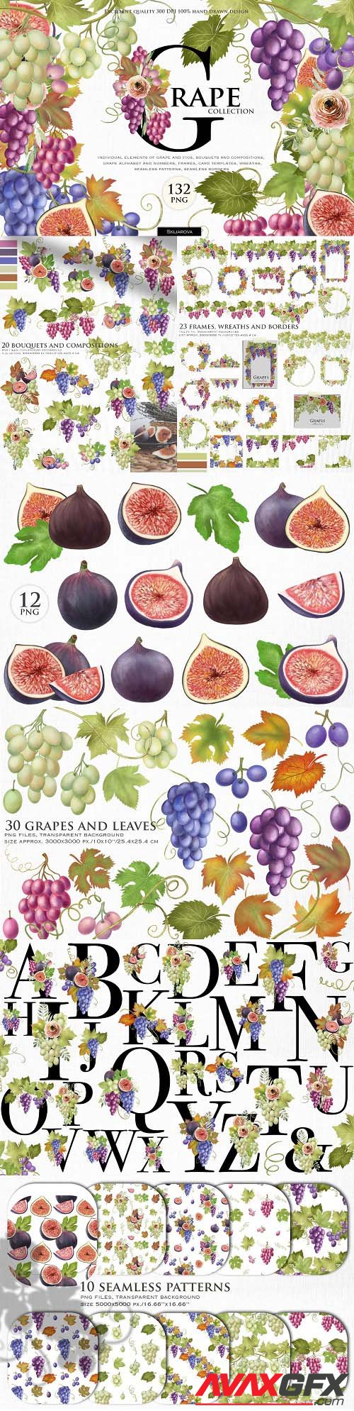 Grape collection - 6260638