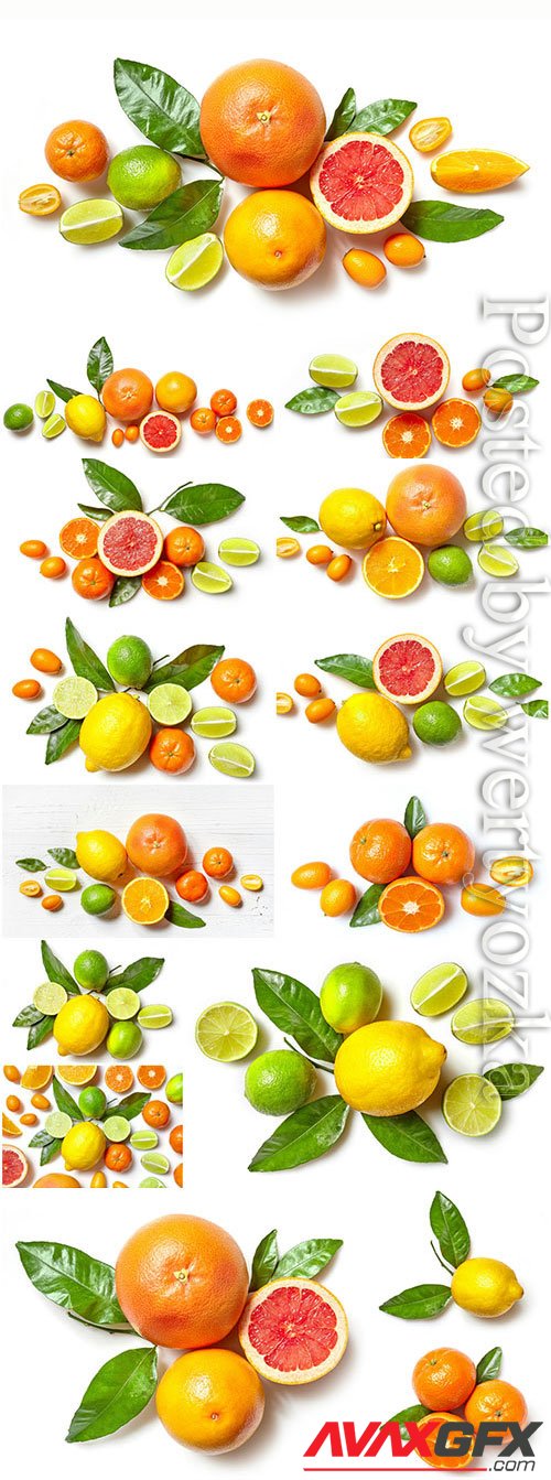 Oranges tangerines and lemons stock photo