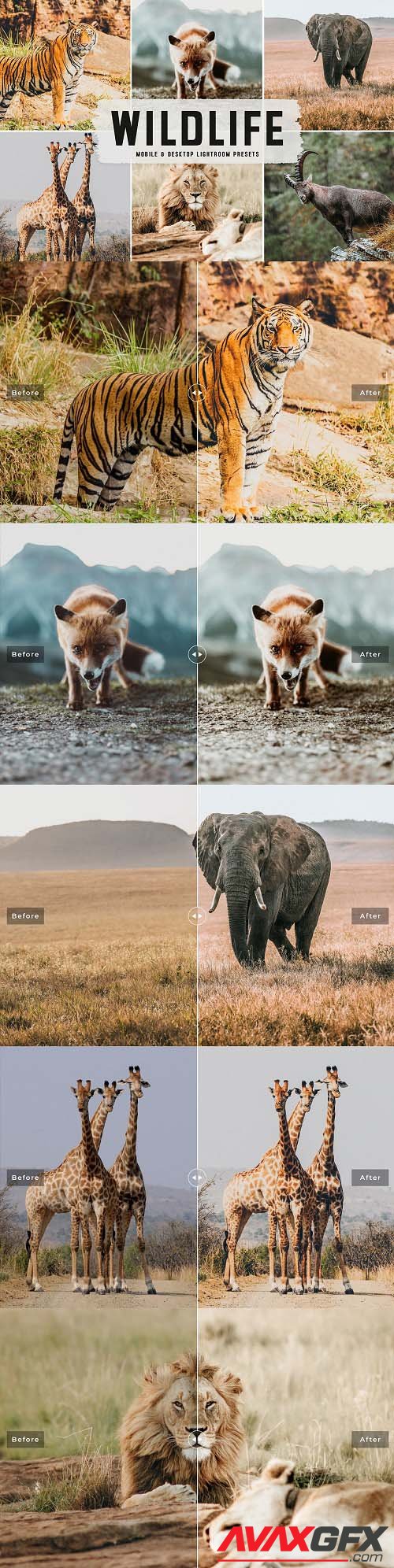 Wildlife Pro Lightroom Presets - 6271255