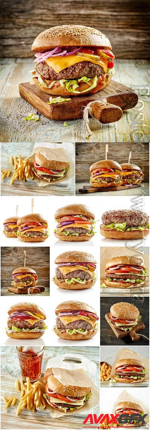 French fries and hamburgers stock photo
