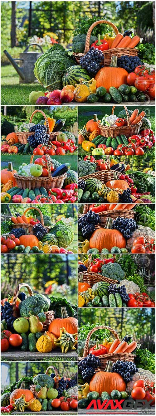 Baskets with fresh vegetables stock photo