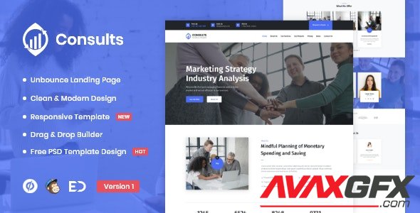 ThemeForest - Consults v1.0 - Consulting and Finance Unbounce Landing Page Template - 29633007