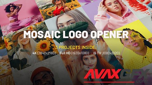 Mosaic Logo Opener 32004415