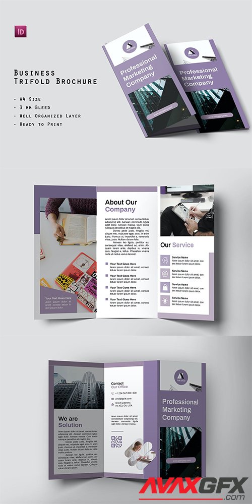 Professional Trifold Business Brochure