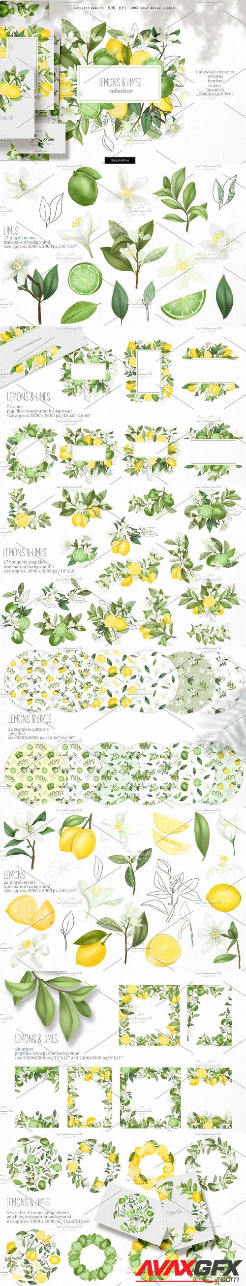 Lemons & limes collection - 4609745