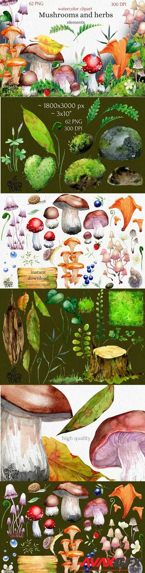 Watercolor cliparts of mushrooms and herbs, individual PNG - 1473824
