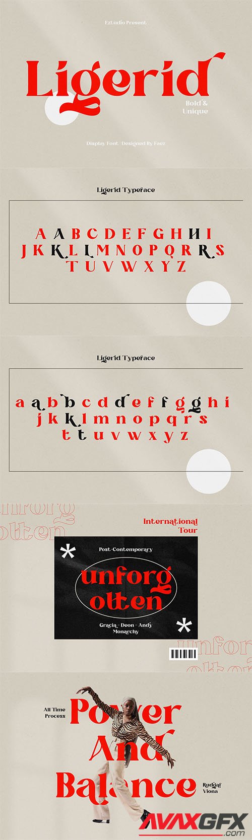 Bold And Unique Font - Ligerid