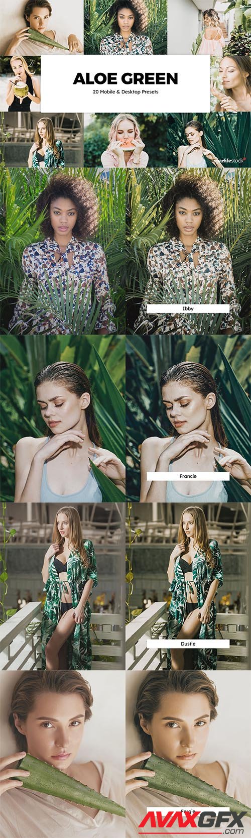 20 Aloe Green Lightroom Presets & LUTs