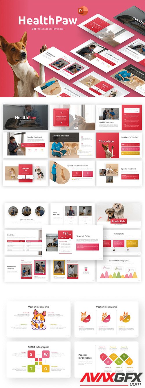 HealthPaw Vet PowerPoint Template