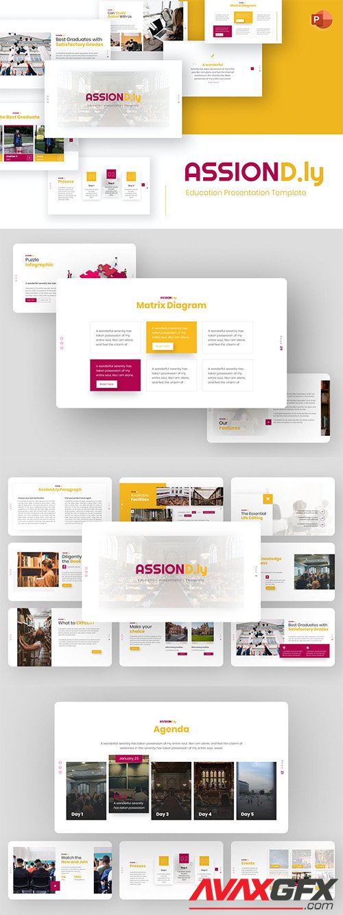 Assiond.ly Education PowerPoint Template