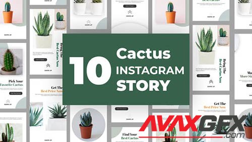 Cactus Instagram Story Pack 33211459