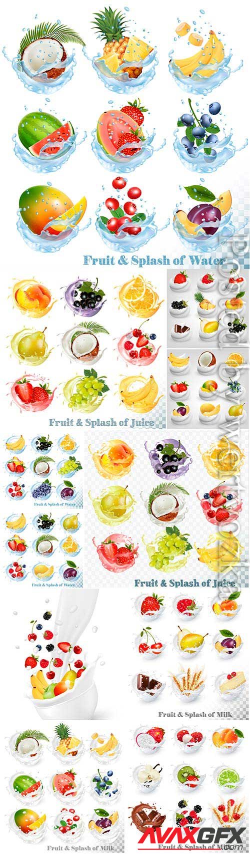 Fruits and berries in water and milk in vector