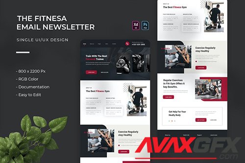 Fitnesa | Email Newsletter 8LHBBWP