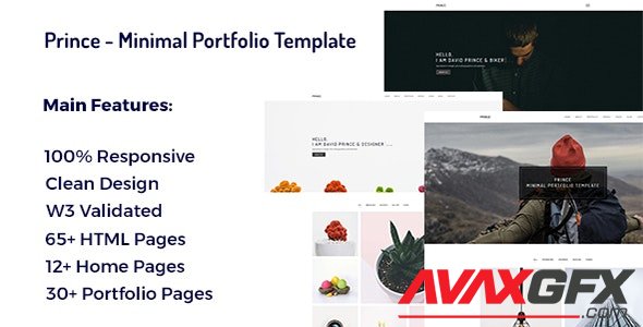 ThemeForest - Prince v1.0 - Minimal Portfolio Template - 21538228