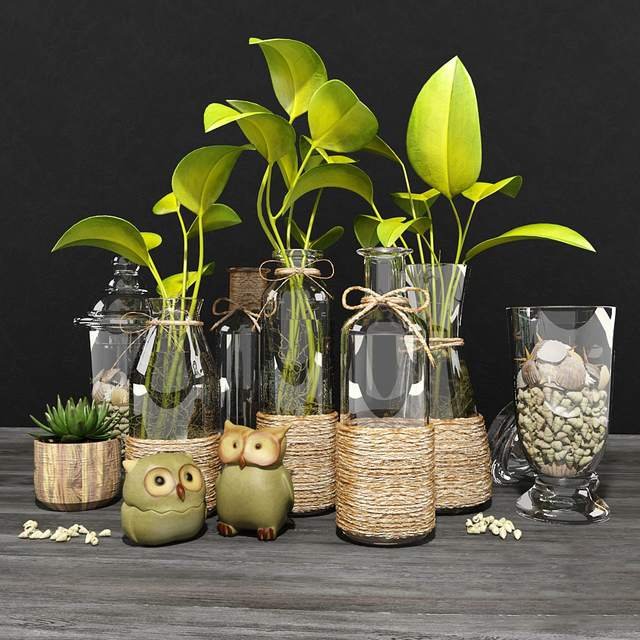 Set of decorative plants