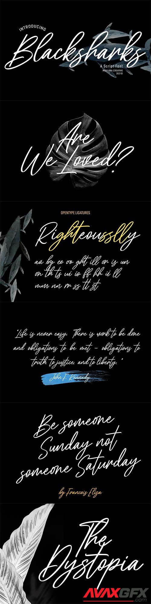 Blacksharks Script Font 6322740