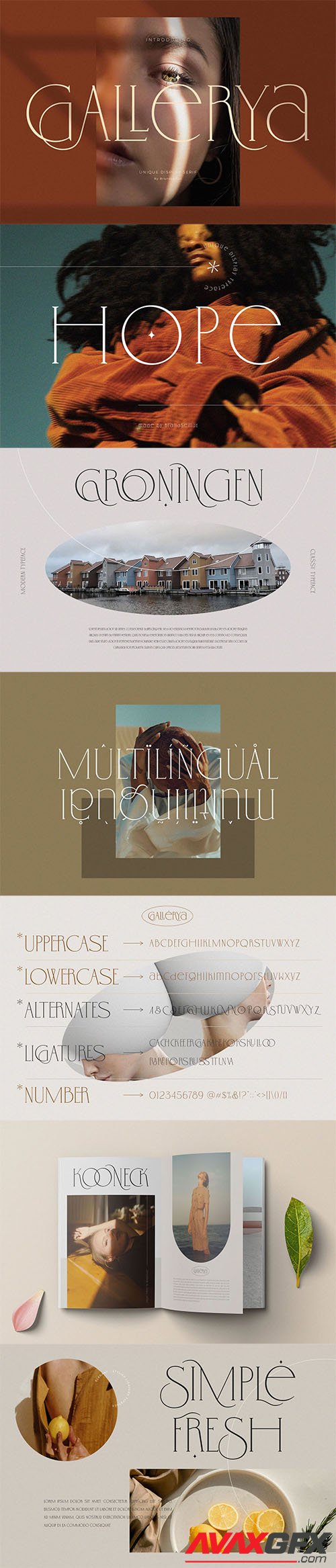 Gallerya - Modern Ligature Typeface 6288265