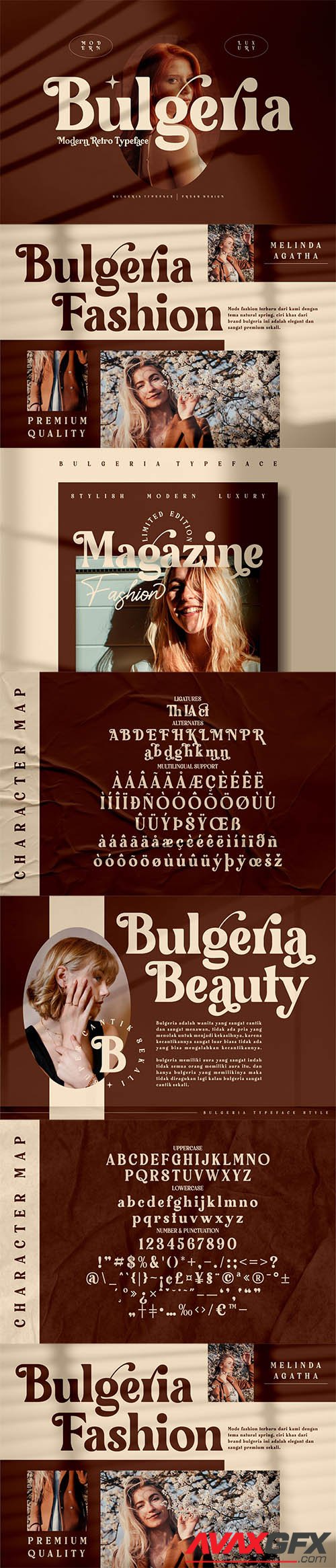 Bulgeria Classy Serif Font 6274173