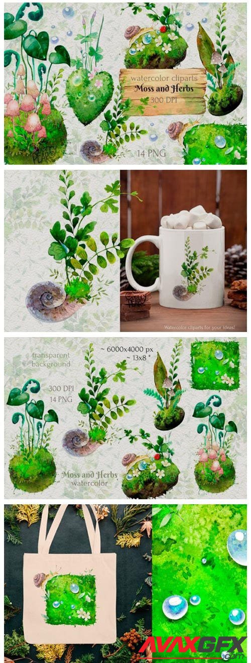 Watercolor cliparts of forest moss and herbs, PNG - 1432969