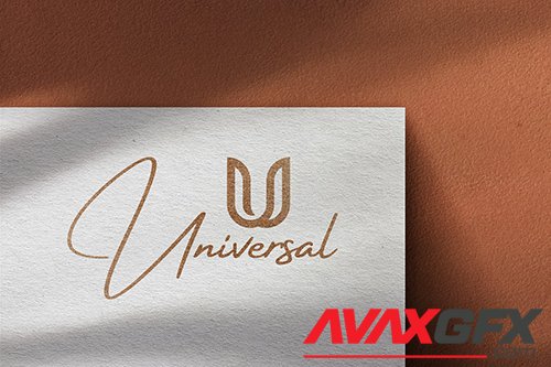 Logo Mockup VSN6QSM